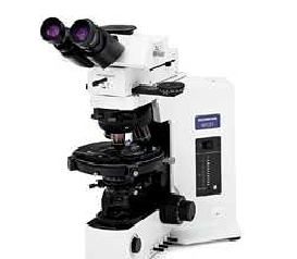 奥林巴斯BX2偏光显微镜BX41-75J21PS