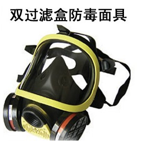 全面罩防毒面具 过滤式含双滤毒盒防毒面具