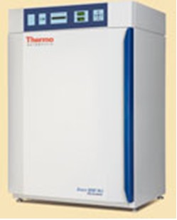 热电Thermo8000 直热式CO2培养箱