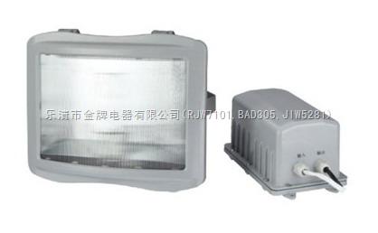 NSE9720防眩應(yīng)急通路燈好品質(zhì)造買防爆燈具找電器