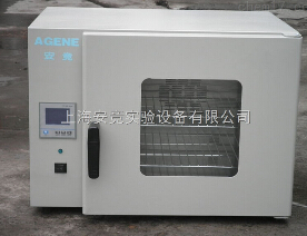 上海精密鼓風(fēng)干燥箱BPG-9040A