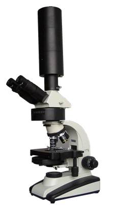 上海彼爱姆光学仪器XSP-BM-2MC万倍视频显微镜优惠价格