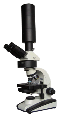上海彼愛姆光學(xué)儀器XSP-BM-2MC萬(wàn)倍視頻顯微鏡優(yōu)惠價(jià)格