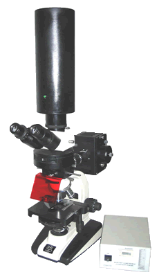 上海彼爱姆光学仪器XSP-BM-2MCYG万倍视频荧光显微镜优惠价格