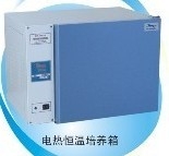电热恒温培养箱DHP-9032/DHP-9032电热培养箱DHP-9032/工作室尺寸340*320*320mm