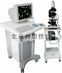 荧光显微镜计算机诊断系统医学影像工作站荧光分析