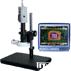电视电脑连续变倍体视显微镜