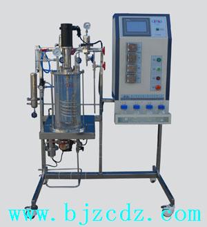 全自动玻璃发酵罐DD.73-KRH-PBC-10L