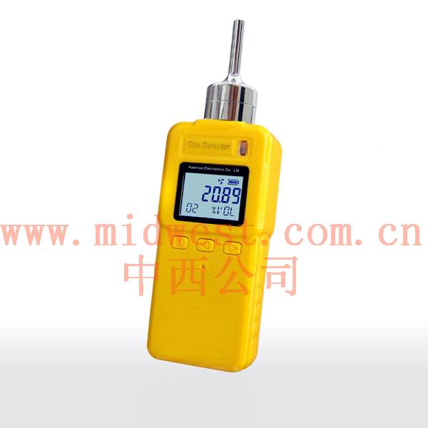 泵吸式臭氧检测仪0-100ppmSKR/GT901-O3
