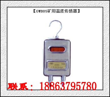 供應(yīng)GWB85礦用溫度傳感器煤礦溫度安全檢測儀