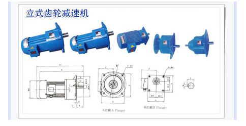 立式齒輪減速機(jī)