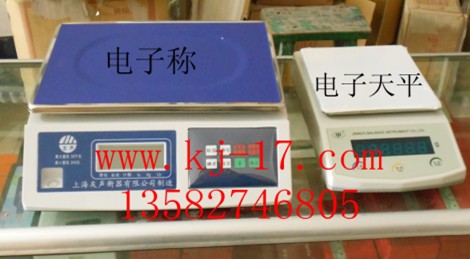 電子天平電子稱廠家價(jià)格