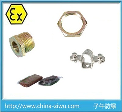 安裝附件(壓緊螺母鎖母防爆膠泥U型管夾等)