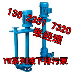 內(nèi)蒙YW系列液下無(wú)堵塞污水泵