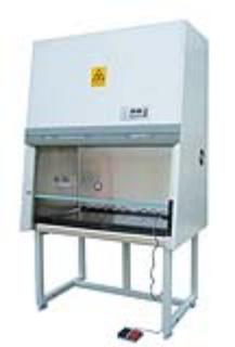 BSC－1360ⅡA2生物安全柜|安全柜報(bào)價(jià)