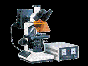 落射熒光顯微鏡
