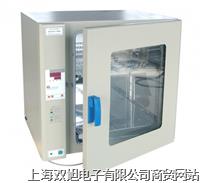 热空气消毒箱干烤灭菌器微电脑GR-240
