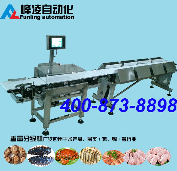 鮑魚(yú)海參分選機(jī)-水產(chǎn)品重量分級(jí)機(jī)
