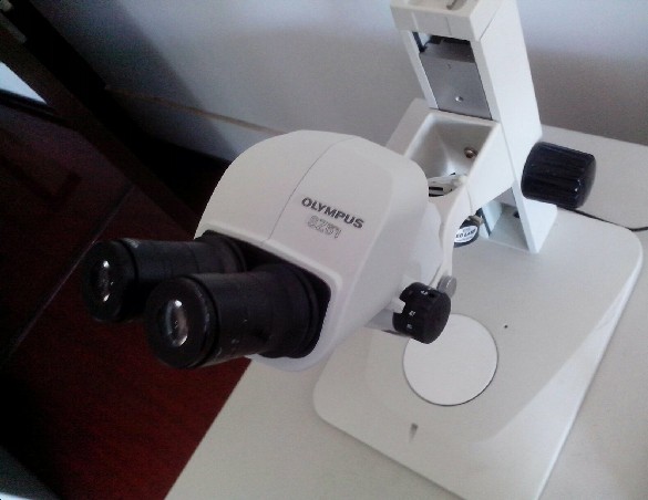 供应二手奥林巴斯SZ61双目体视显微镜