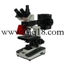 荧光染色免疫荧光显微镜 落射荧光显微镜SQ-XSP-BM-13C