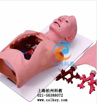 支氣管內(nèi)窺鏡訓練模型