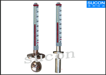 頂裝式磁浮子液位計(jì)