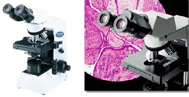 日本OLYMPUS奧林巴斯CX31-12C04/CX31-32C02/CX31-72C02生物顯微鏡