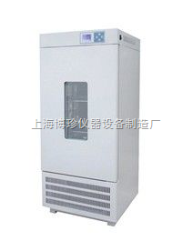 HSX-250恒温恒湿箱恒温箱