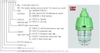 CBD62隔爆型防爆燈