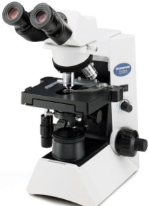 倒置荧光显微镜奥林巴斯CKX41