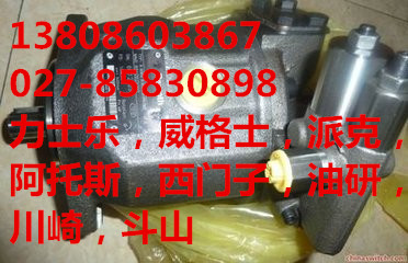 齿轮泵 0510765055