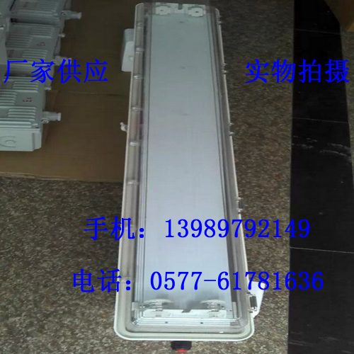 防暴熒光燈BAY51-2*40W(T5燈管)220V