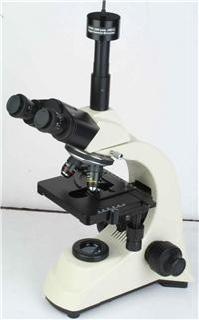 BM-500偏光显微镜