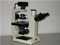 37XBPC 倒置生物显微镜