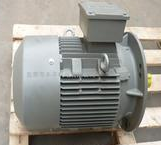 西門子4極7.5KW電機(jī)1LE0002-1CB23-3FA4-Z帶L23附件