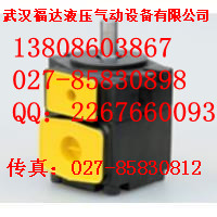FD12FA12/B30电磁阀销售热线：13808603867Z41W-16P DN350