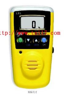 T40硫化氫檢測儀H2S