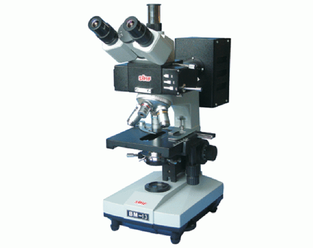 上光六厂三目落射荧光显微镜BM-13生产厂家厂家