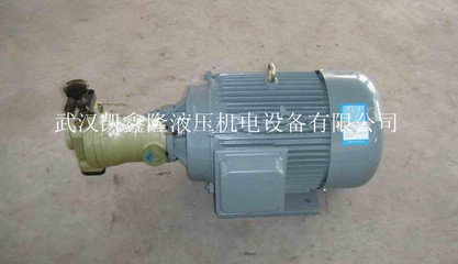 10MCY-Y100L2-4油泵电机组