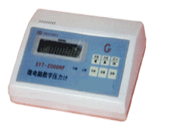 YZ01/SYT-2000J精密數(shù)字壓力計