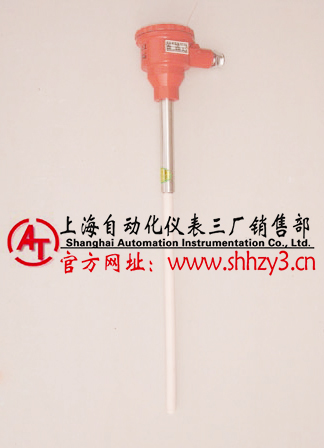 WZPK2-346防暴式熱電阻-WWW.shhzy3.cn上海自儀3廠