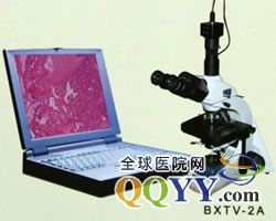 BXTV-2A生物显微镜