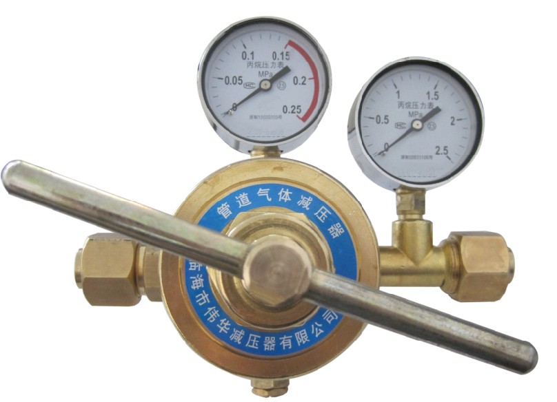 YQWG-224丙烷减压器