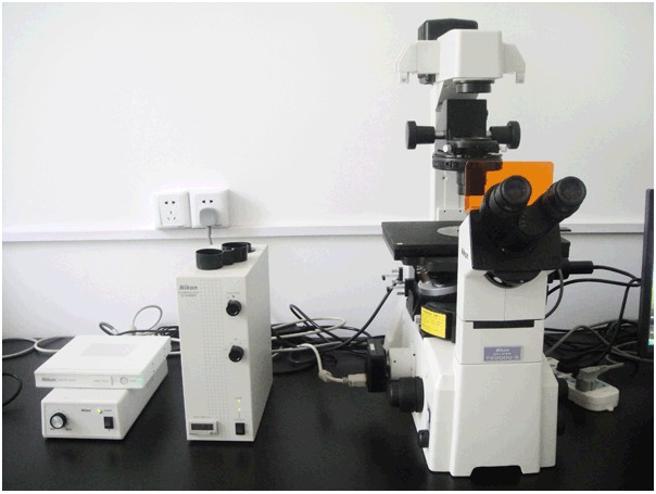 NIKON尼康 倒置荧光显微镜 上海德茹一级代理