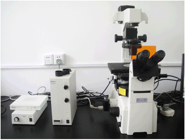 NIKON尼康 倒置熒光顯微鏡 上海德茹一級(jí)代理