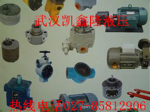 單向溫度補償調(diào)速閥Q-10B Q-25B QI-10B QI-25B QIT-10B QCI1-25B