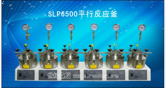 內(nèi)蒙SLP6500多功能平行高壓反應釜