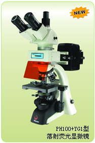 荧光显微镜-凤凰荧光显微镜-双目荧光显微镜