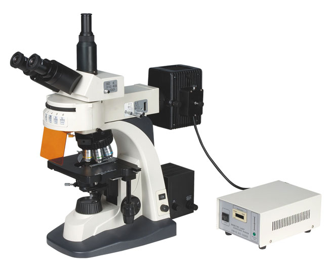 XYL-606型荧光显微镜