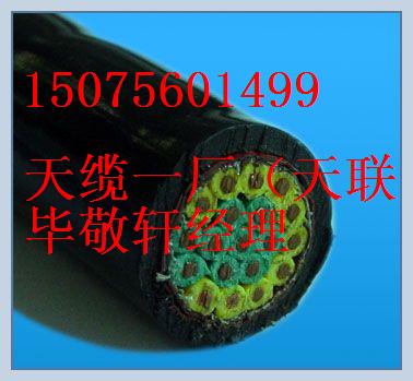 稱重傳感器電纜-帶線號-KVVR